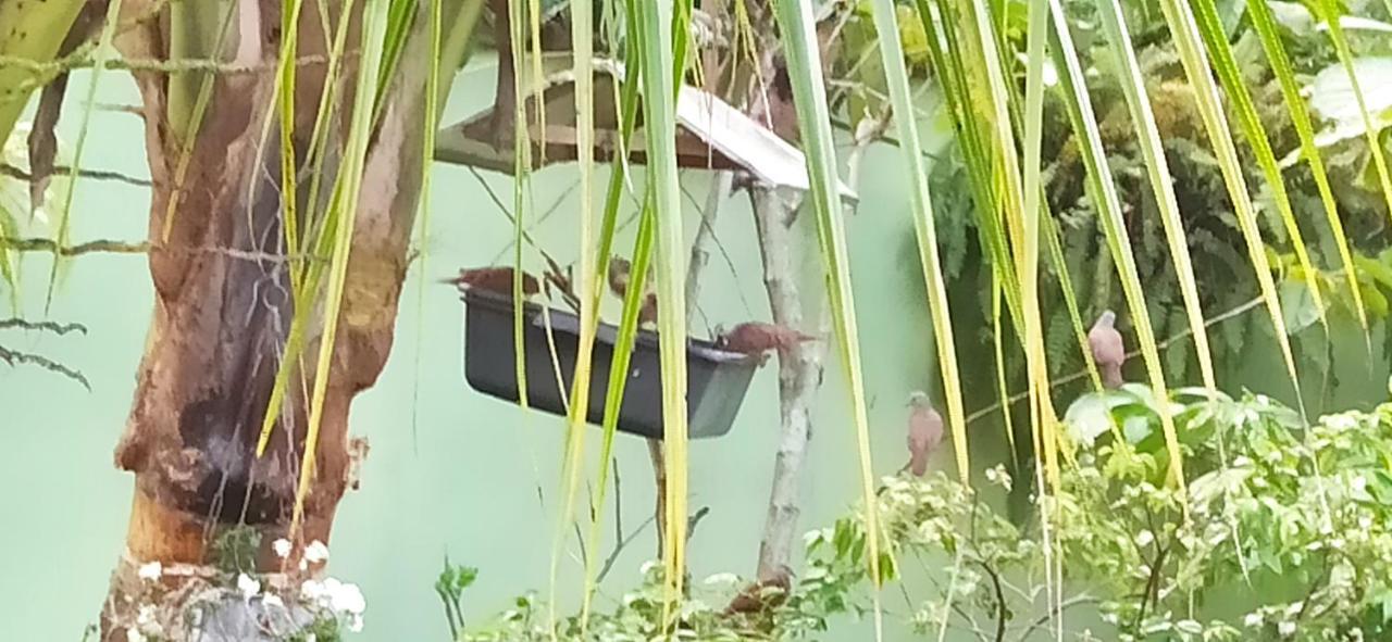 Paraiso Aconchegante Casa Espacosa E Muito Verde Caraguatatuba Exteriör bild