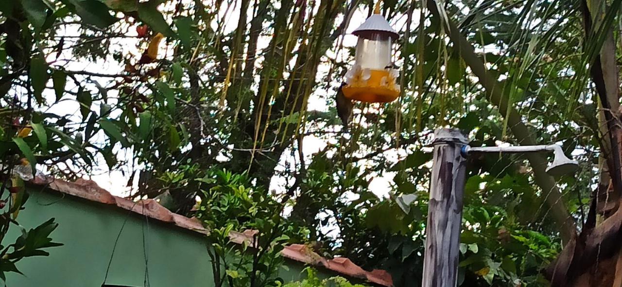 Paraiso Aconchegante Casa Espacosa E Muito Verde Caraguatatuba Exteriör bild